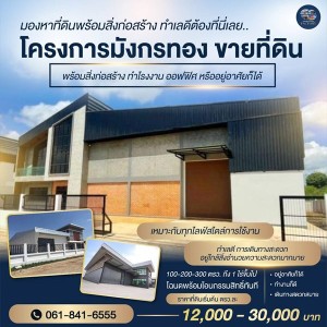 ขายที่ดิน ทำโกดัง โรงงาน ออฟฟิศ บางบัวทอง – นนทบุรี ,ลาดหลุมแก้ว – ปทุมธานี โทร 061-8416555