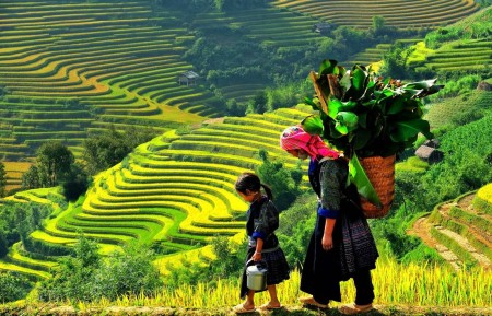 ทัวร์เวียดนาม2569 เที่ยวครบ “เหนือ–กลาง–ใต้” โดยอุ้มรักทัวร์