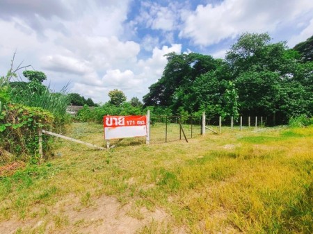 ขายถูกมากที่ดินกลางเมืองเชียงใหม่ ใกล้แหล่งชุมชน ตำบลป่าแดด อำเภอเมือง เดินทางสะดวกมาก เพราะอยู่ใจกลางเมือง ใกล้ห้างและสนามบิน