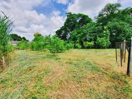 ขายถูกมากที่ดินกลางเมืองเชียงใหม่ ใกล้แหล่งชุมชน ตำบลป่าแดด อำเภอเมือง เดินทางสะดวกมาก เพราะอยู่ใจกลางเมือง ใกล้ห้างและสนามบิน