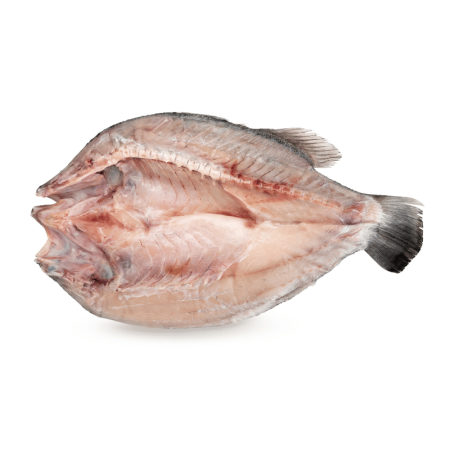 จำหน่ายกุ้งแม่น้ำและอาหารทะเล ราคาปลีก-ส่ง จัดส่งทั่วประเทศ