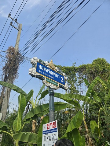 ขาย บ้านเดี่ยว rightintheheartofSukhumvit in-Sukhumvit71,SoiPridiBanomyong26 Luxury-detached-house-for-sale, บ้านเดี่ยวหรู2ชั้นพร้อมสระว่ายน้ำสุขุมวิท Luxury-detached-house-for-sale,