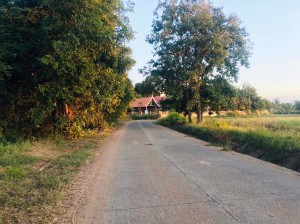 ที่ดิน ขาย ที่นา-ที่ดินราคาถูกนครราชสีมา เข้าออกหมู่บ้านได้2เส้นทาง ใกล้ถนนโชคชัย-เดชอุดม น้ำประปาไฟฟ้าผ่านหน้าที่นา ใกล้ทางหลวงหมายเลข24
