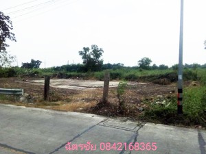 ที่ดิน ขาย เหมาะจัดสรรแบ่งขาย, เหมาะทำหมู่บ้านจัดสรร ที่ดินธัญบุรีคลอง6,หรือปทุมธานี โครงการเชิงพาณิชย์ ขายถูก