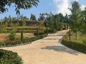 ขาย ที่ดิน Durian-Farm-Investment-Chanthaburi- 泰国榴莲果园投资 泰国尖竹汶府榴莲果园投资立即 ลงทุนทุนสวนเรียน-จันทบุรี-รับรายได้ทันทีจากผลผลิต CheaperthanOthersbyMillions-