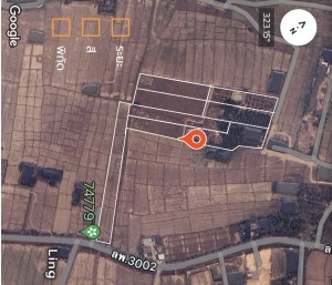 ขาย ที่ดิน ใกล้แหล่งชุมชน-ตลาด-ห้าง-โรงพยาบาล ตำบลป่าสัก ติดถนนบ้านบูชา-ป่าสัก ขายที่ดินอำเภอเมืองลำพูนราคาถูก เจ้าของขายเอง