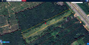 ที่ดิน ขาย ที่ดินพัทลุงราคาถูก พร้อมไฟฟ้าน้ำประปา ติดถนนเพชรเกษม ที่ดินป่าบอนถูกกว่าใกล้เคียง อสังหาพัทลุงราคาคุ้มสุด