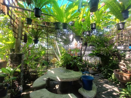 บ้าน ขาย ใกล้โรงพยาบาลเปาโลโชคชัย4 บ้านมือสองลาดพร้าวโชคชัย4 สะดวกเดินทางหลายทาง เกษตรนวมินทร์–เอกมัย–รามอินทรา เลียบด่วน