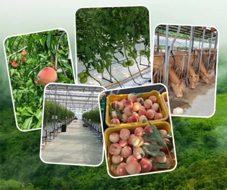 ประกาศ บริการ งานสวนประเทศออสเตรเลีย งานประเทศเกาหลีใต้ รับจัดหางาน ไม่หลอกลวงทำงานต่างประเทศถูกกฎหมาย งานประเทศอิสราเอล