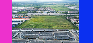 ที่ดิน ขาย ใกล้โลตัสบ้านบึง เหมาะทำหมู่บ้าน ที่ดินชลบุรี30ไร่ ติดถนน344 ราคาถูกสุด